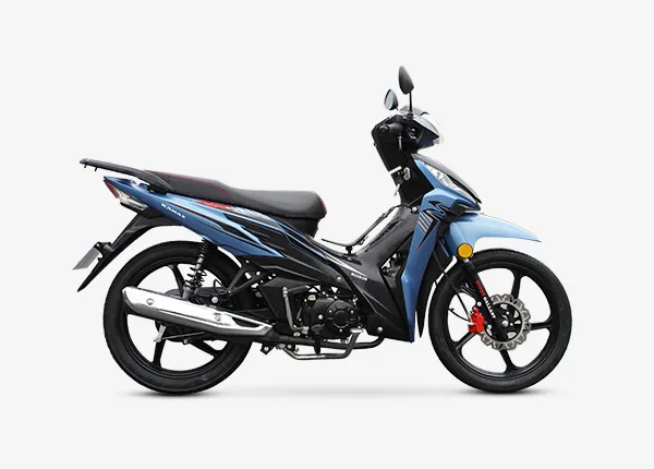 Underbone Motorcycle Blue Bird 110