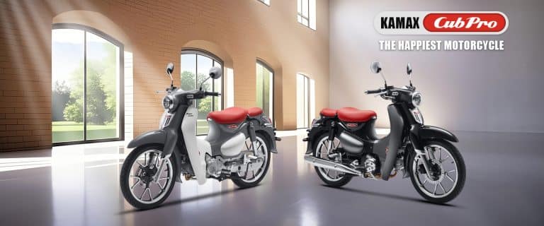 China Motorcycle Manufacturer KAMAX Cub Pro Motorcycle